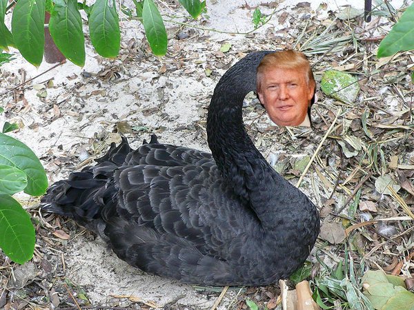 Cisne negro DOnald Trump