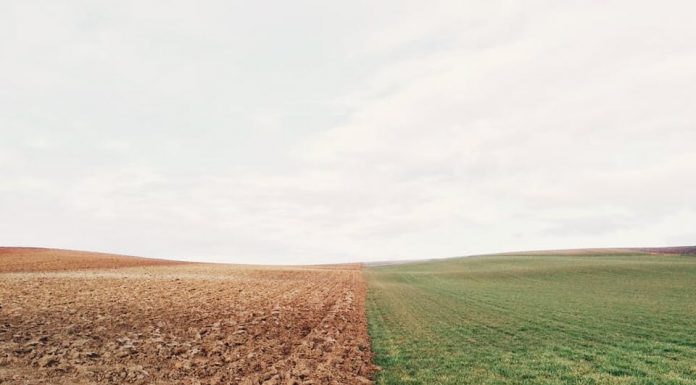 La vacuna del covid: Previsiones e implicaciones